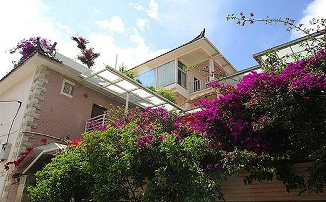 ����鿴����