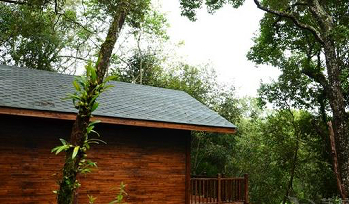 ����鿴����