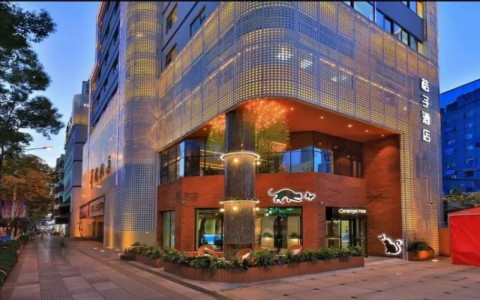 ����鿴����