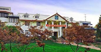 ����鿴����