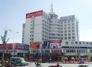 ����鿴����