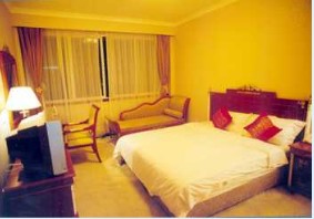 ����鿴����