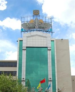 ����鿴����