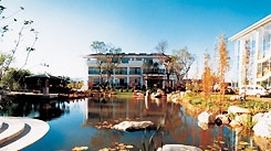 ��������԰�ȼپƵ�ͼƬ