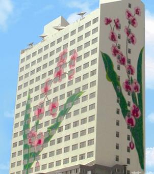 ����鿴����