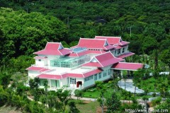 ����鿴����