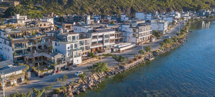 ����鿴����