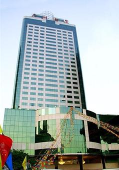 ����鿴����